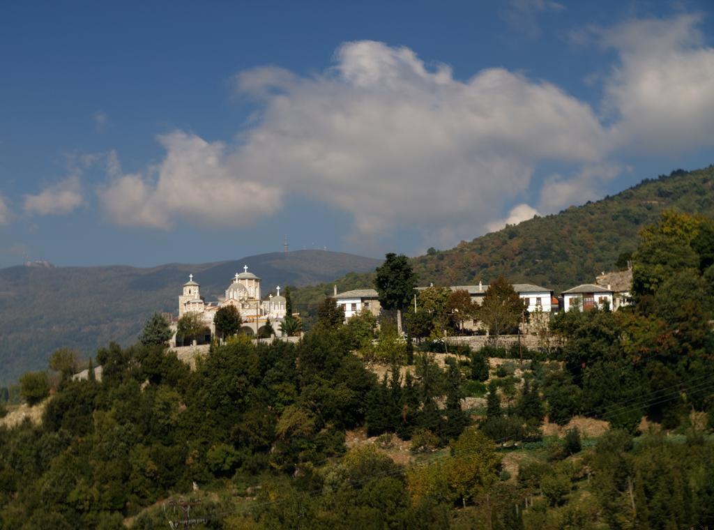 Pelion Goddess Villas Agios Georgios Nilias Kamer foto