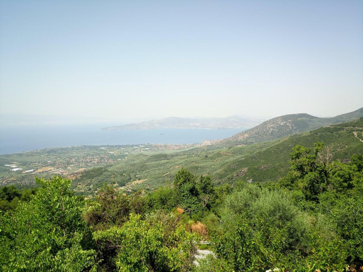 Pelion Goddess Villas Agios Georgios Nilias Buitenkant foto